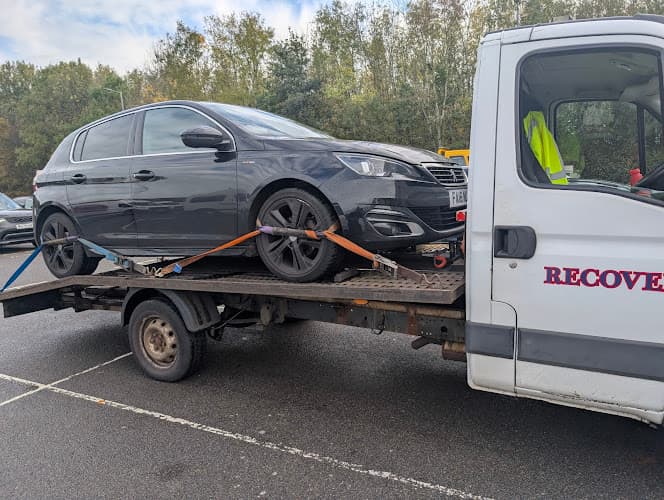 Business listing image