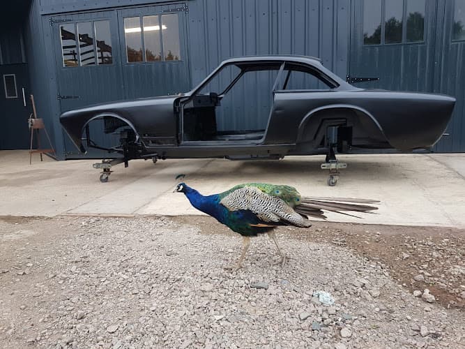 Business listing image